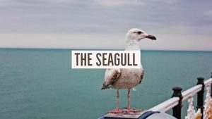 Jack Hyles Poetry- The Seagull