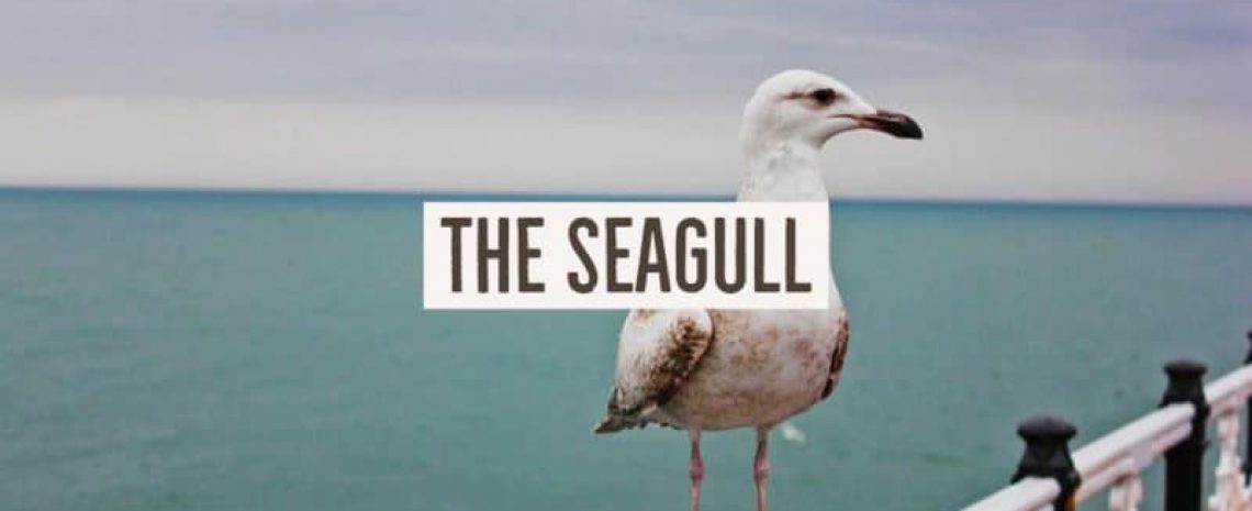 Jack Hyles Poetry- The Seagull